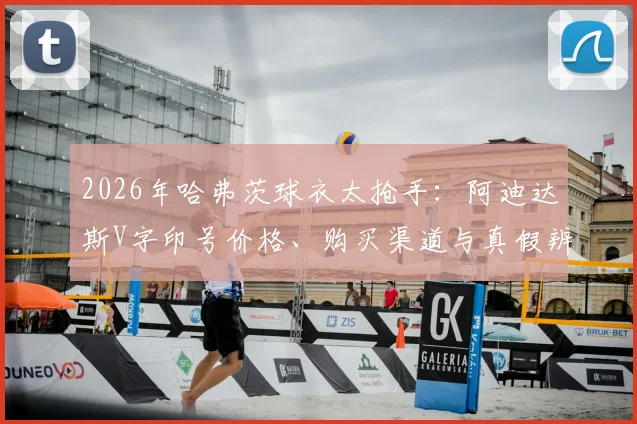 2026年哈弗茨球衣太抢手：阿迪达斯V字印号价格、购买渠道与真假辨别全攻略，附补货时间预测