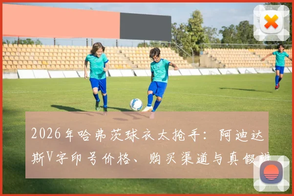 2026年哈弗茨球衣太抢手：阿迪达斯V字印号价格、购买渠道与真假辨别全攻略，附补货时间预测